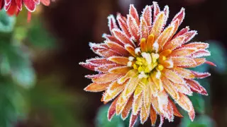 35-градусная жара и ночные заморозки: прогноз погоды в Казахстане на 16 мая