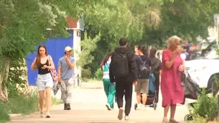 "Посмотрите, как их много! Кошмар!" Небывалое нашествие комаров напугало жителей Конаева