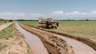 Экспорт некоторых видов удобрений ограничили в Казахстане