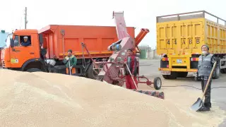 В будущее с государственной поддержкой