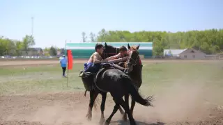 Скаковой сезон открыли в СКО