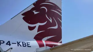 FlyArystan перенес два рейса из-за столкновения самолета с птицами