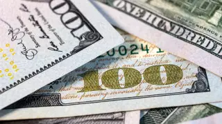 Названы официальные курсы доллара, рубля и евро на 24 мая