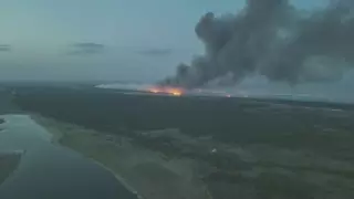 Жители покидают свои дома в области Абай из-за лесного пожара