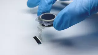 Мозговые импланты Илона Маска разрешили тестировать на людях