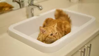 Воду отключат в нескольких микрорайонах Алматы