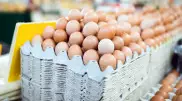 "Некорректно у министра просить, чтобы он что-то обещал" - глава МСХ о ценах на яйцо