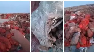 Свалка из предназначенных для продажи продуктов возмутила жителей Кызылорды