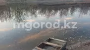 Двое детей утонули в Актюбинской области