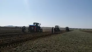 Нынешней весной АО "АрселорМиттал Темиртау" озеленило 134 га территории Темиртау