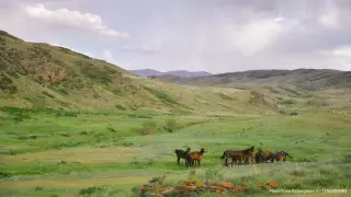 Жара на севере и пыльные бури на западе: прогноз погоды в Казахстане на 31 мая