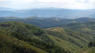 Туриста спасли в горах Туркестанской области