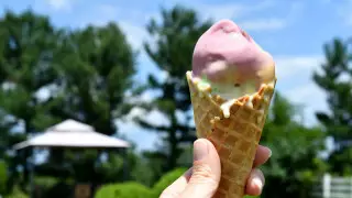 Сильная жара до 44 градусов ожидается в Казахстане