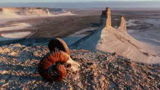 В Мангистау хотят привлечь туристов новыми проектами на 100 миллиардов тенге