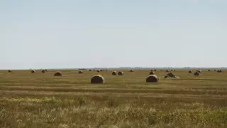 О судьбе участка размером с Израиль рассказал Ногаев