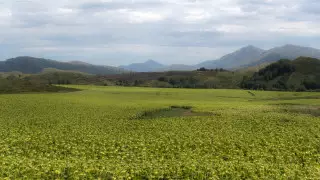 Жара до 42 градусов и град: прогноз погоды в Казахстане на 7 июня