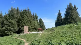 "Туалет без дверей и горы мусора". В каком состоянии находится Кок-Жайляу