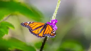 40-градусная жара и пыльные бури: прогноз погоды в Казахстане на 8 июня