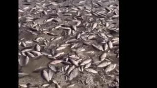 Что произошло в Украине ночью 8 июня