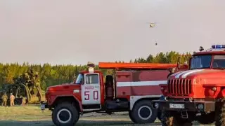 Пожар вспыхнул на территории леса "Семей орманы"