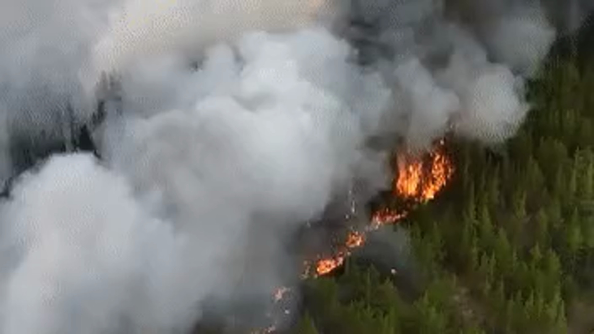 В области Абай горит уже 30 тысяч гектаров леса. Появилось видео с высоты:  09 июня 2023 14:34 - новости на Tengrinews.kz