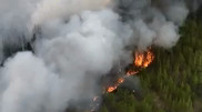 В области Абай горит уже 30 тысяч гектаров леса. Появилось видео с высоты
