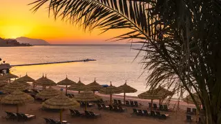 Акула-людоед напугала туристов: возвращают ли казахстанцы путевки в Египет