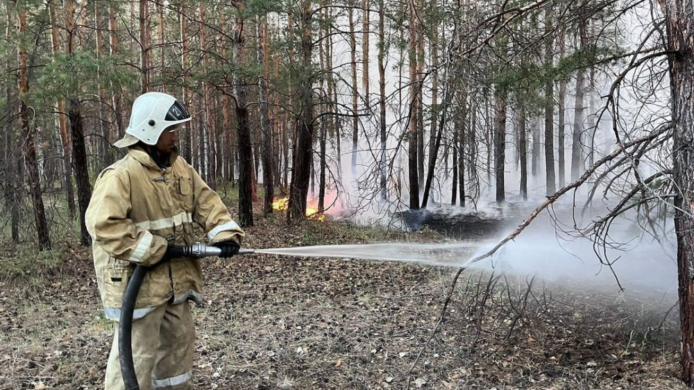 В сети появились фейки-страшилки о пожаре в Абайской области
