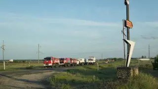 Пожар в области Абай:  установлены личности пяти погибших работников лесничества