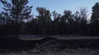 Сельчане Абайской области отказывались от эвакуации из-за скота