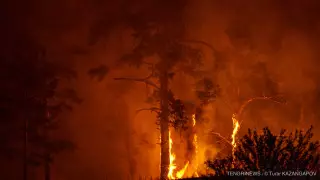 Траур в Казахстане: президент Кыргызстана выразил соболезнования Токаеву