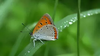 Относительно "холодный" май в Алматы объяснили в "Казгидромете"