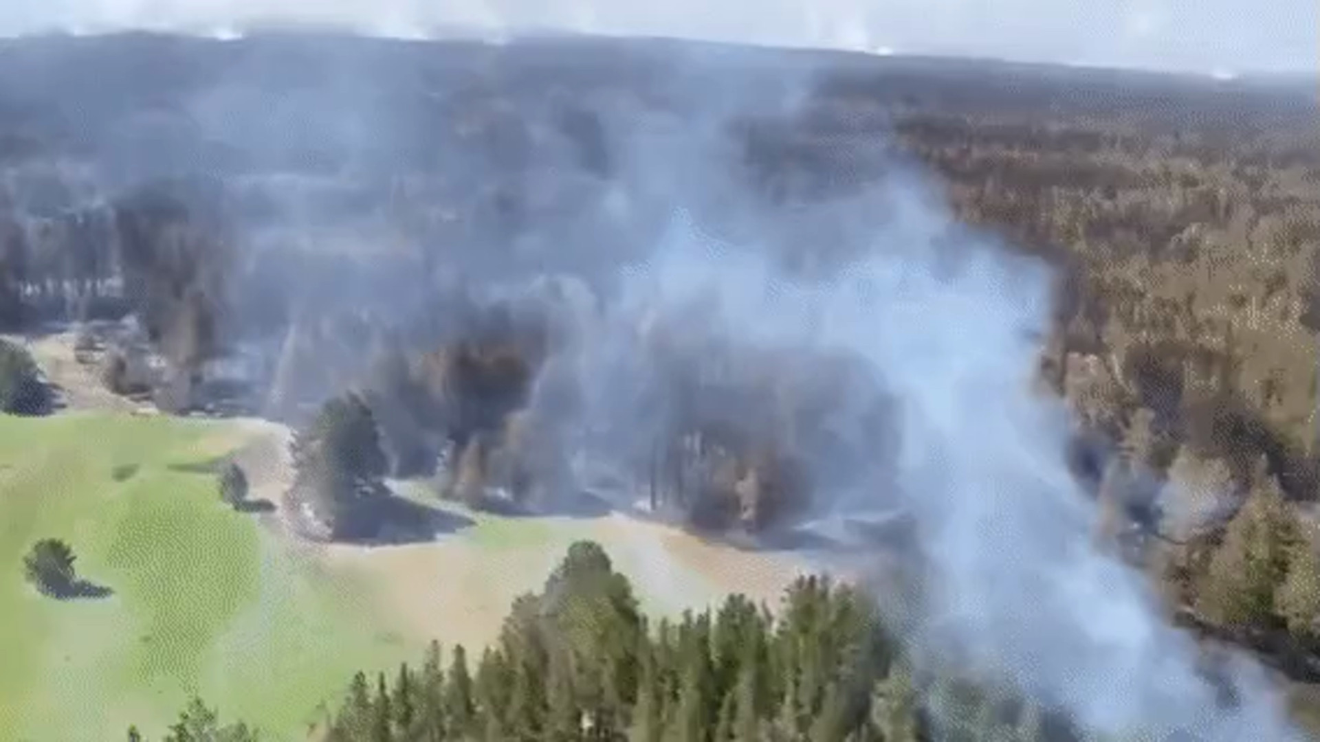 лесные пожары в казахстане