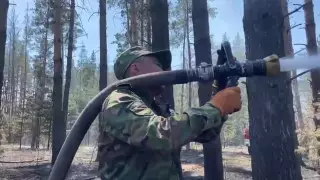 "Обнаружилась активность пожара" - новый глава МЧС о ситуации в области Абай