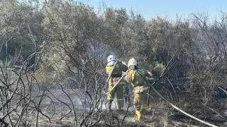 Степной пожар полностью потушили в Кызылорде