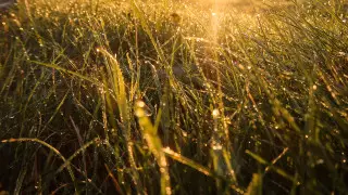 42-градусная жара, грозы и туманы: прогноз погоды в Казахстане на 14 июня