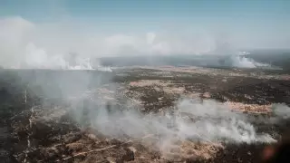 Площадь пожара значительно сократилась - аким области Абай