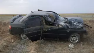 Водитель машины погиб в ДТП с лошадью в ЗКО