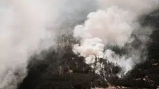 Повторный аудит могут провести в Минэкологии после пожара в области Абай