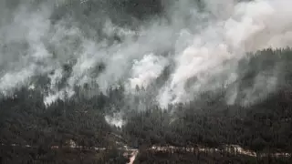 Примерные сроки ликвидации пожара в области Абай назвали в МЧС