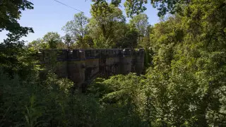 На этом мосту в Шотландии собаки совершают самоубийства