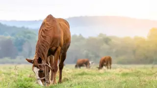 Сильная жара и грозы: прогноз погоды в Казахстане на 16 июня