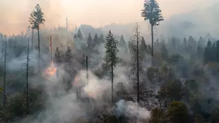 Казахстанцы собрали 200 миллионов тенге вместе с Kaspi.kz для пострадавших от пожара