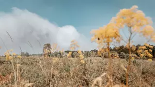 Степной пожар возник в Шу