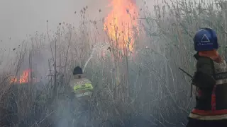 Пожарные Астаны тушат горение сухостоя с вертолетов. Пожар локализован