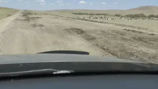 "Акимы не видят этот кошмар": состояние дороги шокировало жителей Карагандинской области