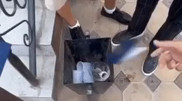 Выбросили аттестаты в урну. В Минпросвещения разыскивают героев скандального видео