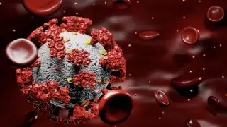 Разведка США рассказала про причину пандемии коронавируса