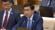Мажилисмен попросил правительство поменять отношения к поправкам от депутатов