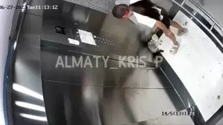 Душила, бросала об пол и пинала. Издевательство девочки над кошкой попало на видео